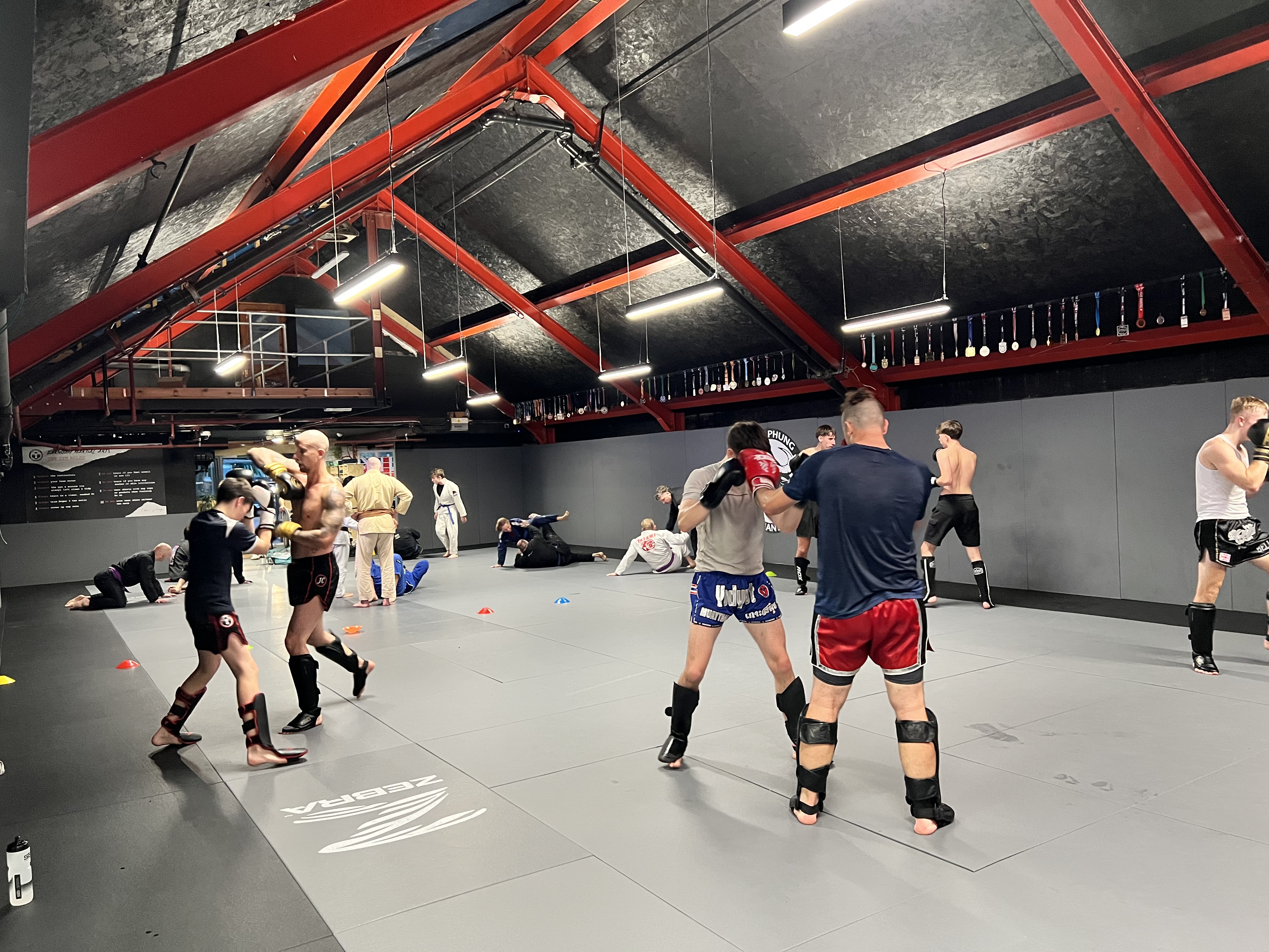 Our Club - Training Zones